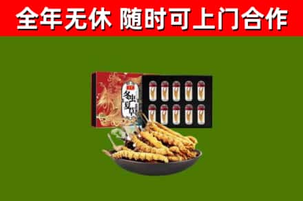 玉树烟酒回收冬虫夏草礼盒.jpg